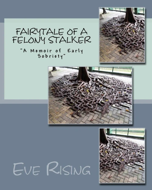 Fairytale Of A Felony Stalker