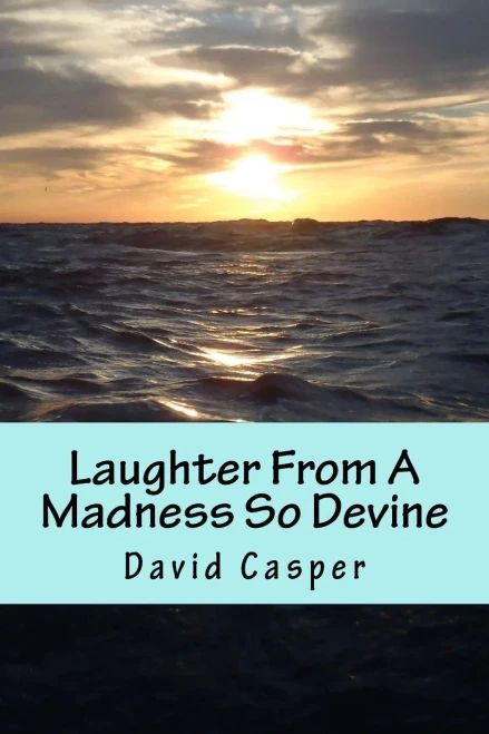 Laughter From A Madness So Devine (Gee Look At Me! I Wrote A Book Of Poetry!) (Volume 3)