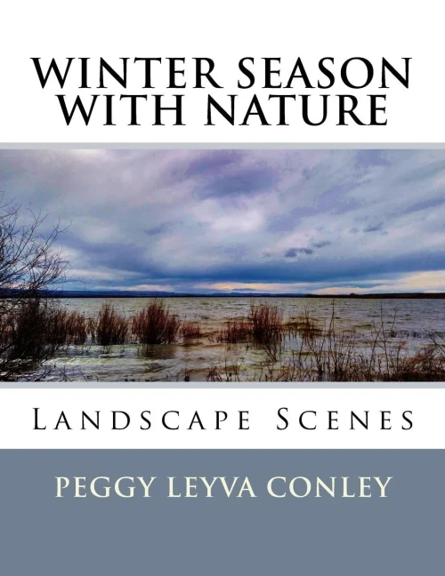 Winter Season With Nature: Landscape Scenes