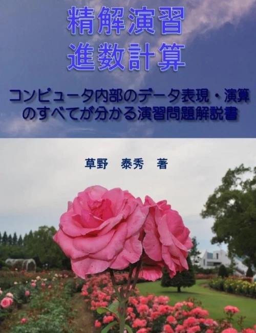 Seikaiensyuu Sinsuukeisan (Japanese Edition)