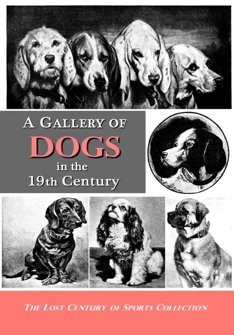 A Gallery Of Dogs In The 19Th Century: 350 Photographs & Illustrations From 50 Books & Magazines Published From 1858 To 1898 (The Lost Century Of Sports Collection)
