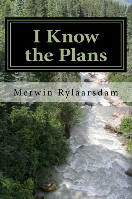 I Know The Plans