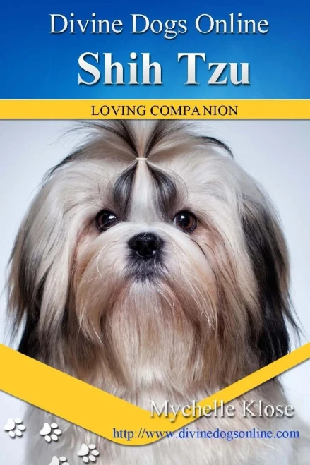Shih Tzu (Divine Dogs Online)