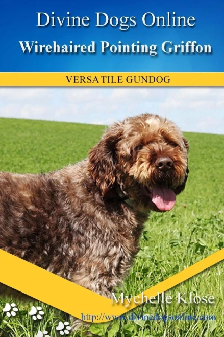 Wirehaired Pointing Griffon (Divine Dogs Online)