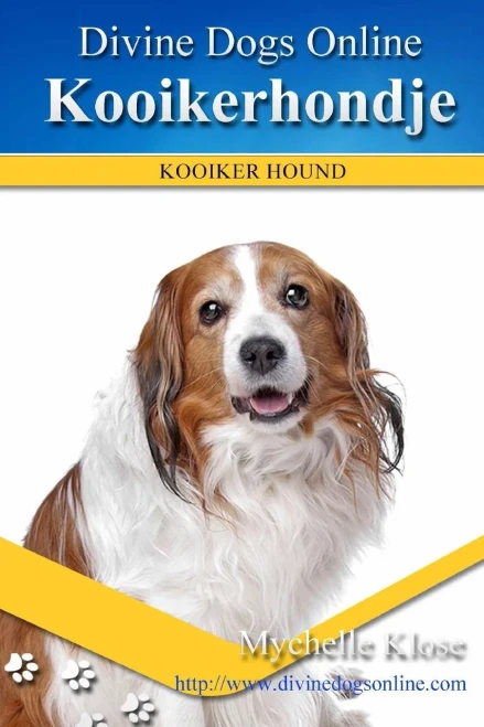 Kooikerhondje: Kooiker Hound (Divine Dogs Online) (Volume 38)