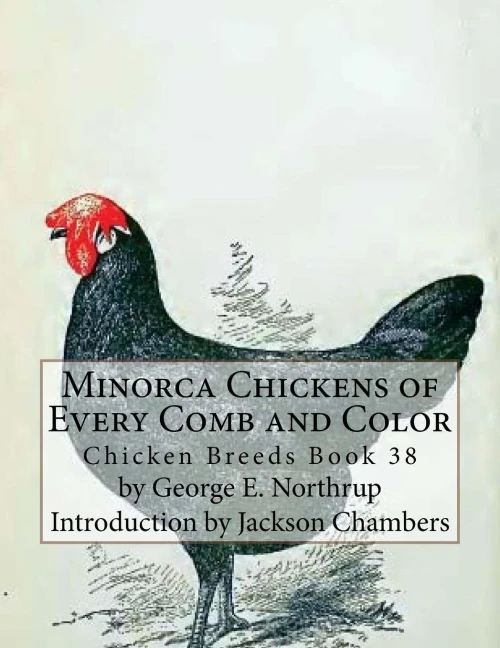 Minorca Chickens Of Every Comb And Color: Chicken Breeds Book 38