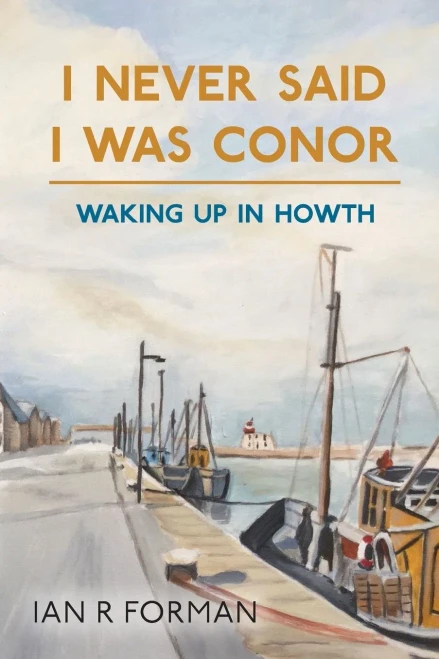 I Never Said I Was Conor: Waking Up in Howth - Paperback