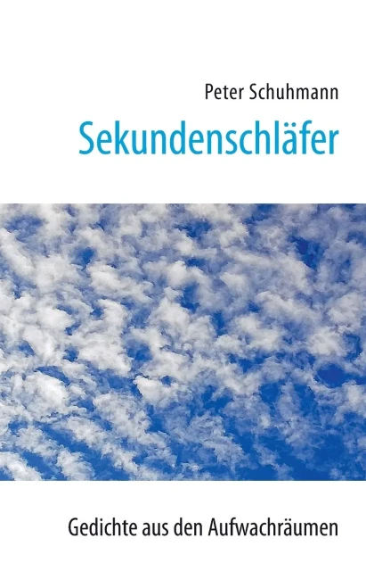 Sekundenschläfer: Gedichte aus dem Aufwachraum (German Edition)
