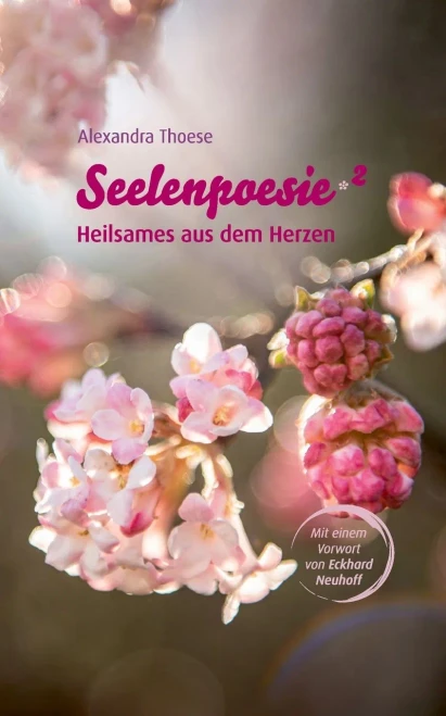 Seelenpoesie - Heilsames aus dem Herzen (German Edition) - Paperback