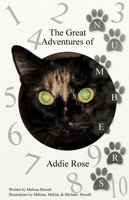 The Great Adventures Of Addie Rose Numbers: Numbers