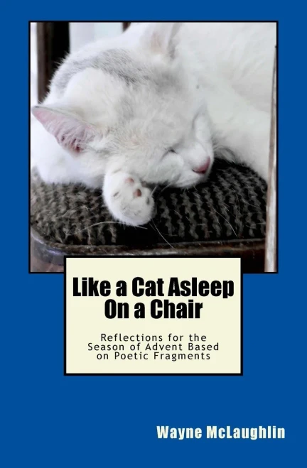 Like A Cat Asleep On A Chair: Reflections For The Season Of Advent Based On Poetic Fragments