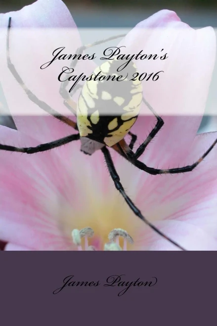 James Payton'S Capstone 2016