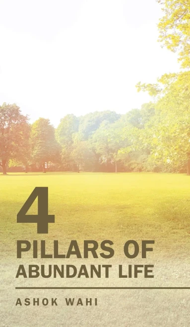 4 Pillars of Abundant Life - Hardcover
