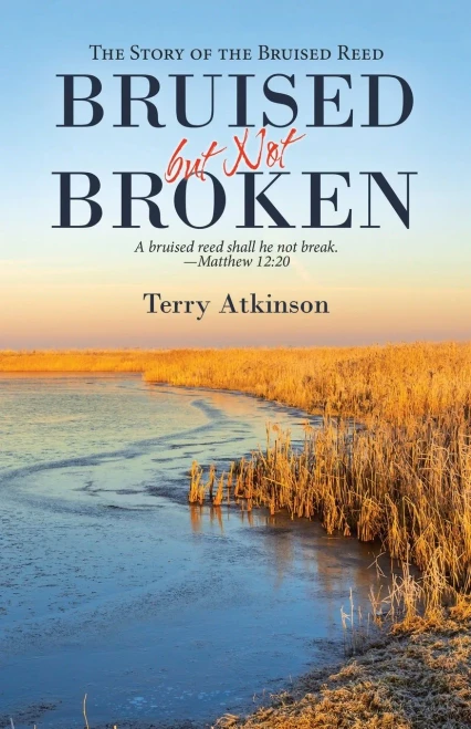 Bruised but Not Broken: The Storyof the Bruised Reed - Paperback