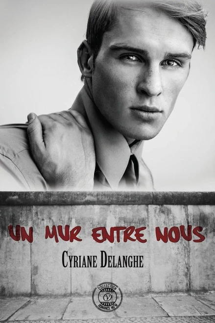 Un Mur Entre Nous (French Edition)