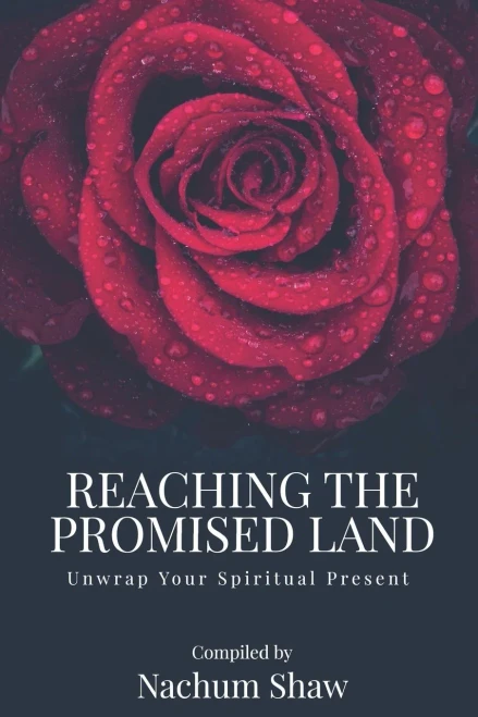 Reaching the Promised Land: Unwrap Your Spiritual Present