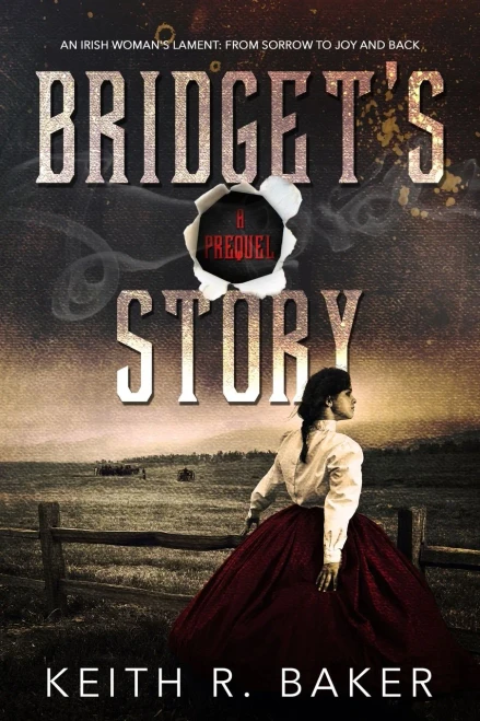 Bridget'S Story: An Irish Woman'S Joy (Longshot)