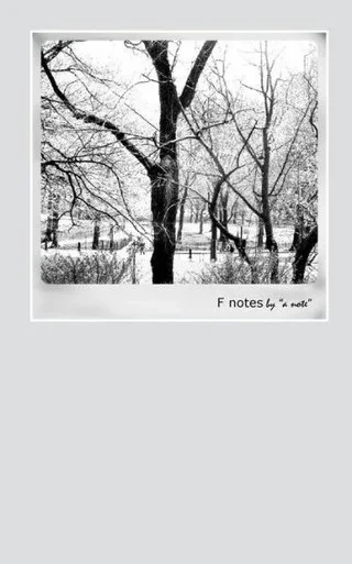 F Notes By "A Note"
