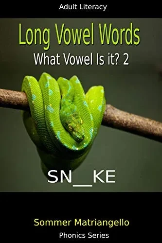 Long Vowel Words: What Vowel Is It? 2