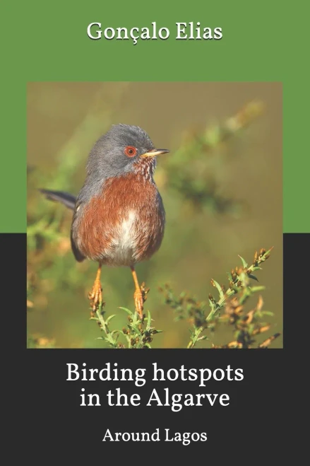 Birding Hotspots In The Algarve: Around Lagos