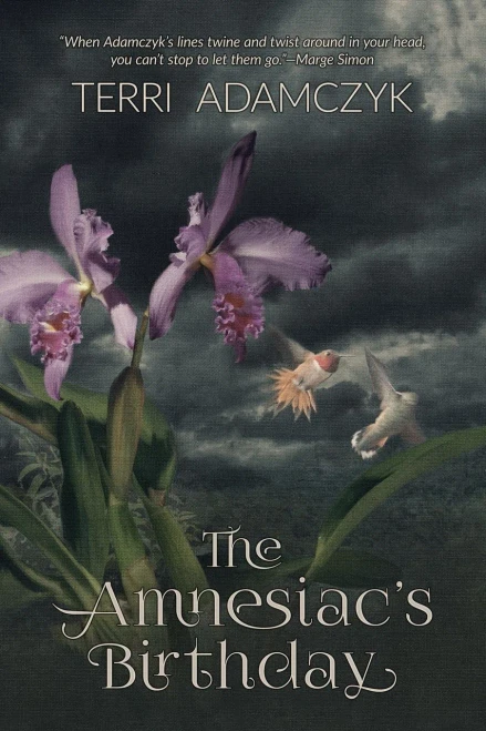 The Amnesiac’s Birthday