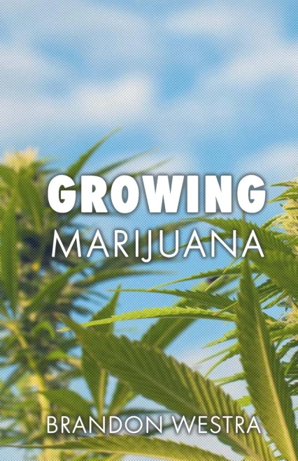 Growing Marijuana