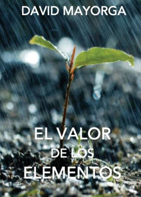 El Valor de Los Elementos (Spanish Edition)