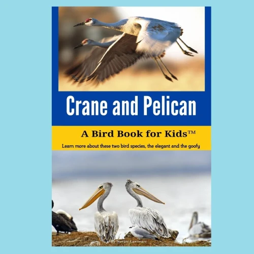 Crane And Pelican: A Bird Book For Kids
