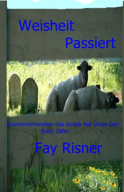 Weisheit Passiert: Krankenschwester Das Amish Unter Den (Krankenschwester Des Amish Hal Unter Den) (German Edition)