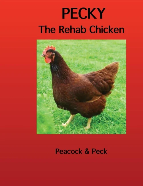 Pecky: The Rehab Chicken