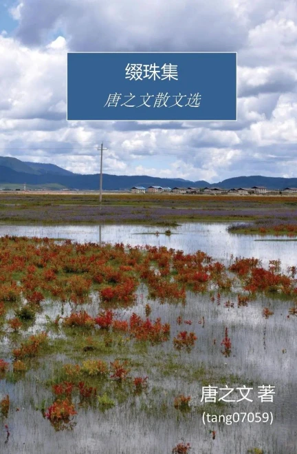 Scattering Pearls (Chinese Edition)