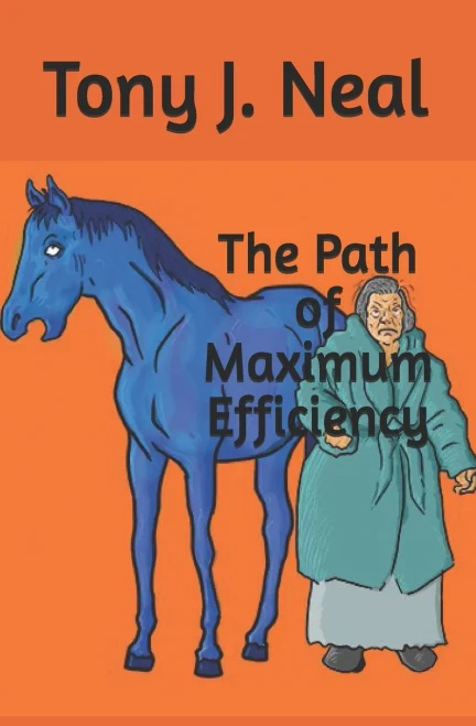 The Path Of Maximum Efficiency: Sexual Relations With Bitter Old Hags In The Free Market System