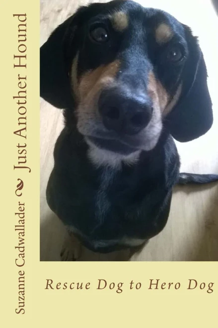 Just Another Hound: Rescue Dog To Hero Dog
