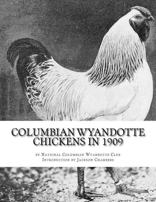 Columbian Wyandotte Chickens In 1909