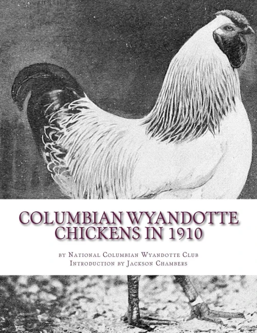 Columbian Wyandotte Chickens In 1910