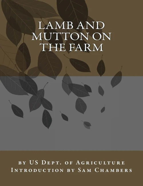 Lamb And Mutton On The Farm
