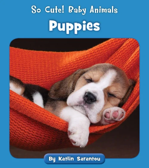Puppies (So Cute! Baby Animals)