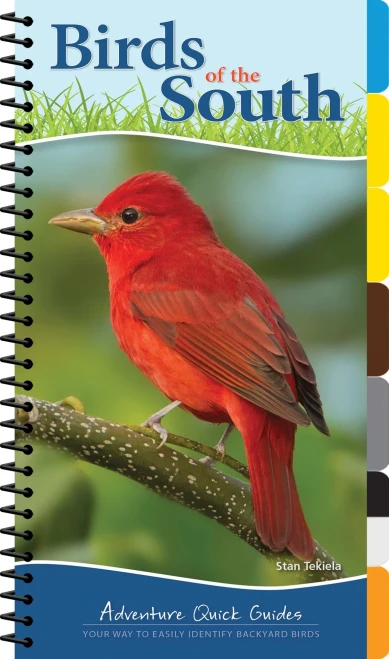 Birds of the South: Your Way to Easily Identify Backyard Birds (Adventure Quick Guides)
