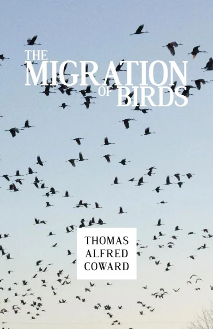 The Migration Of Birds