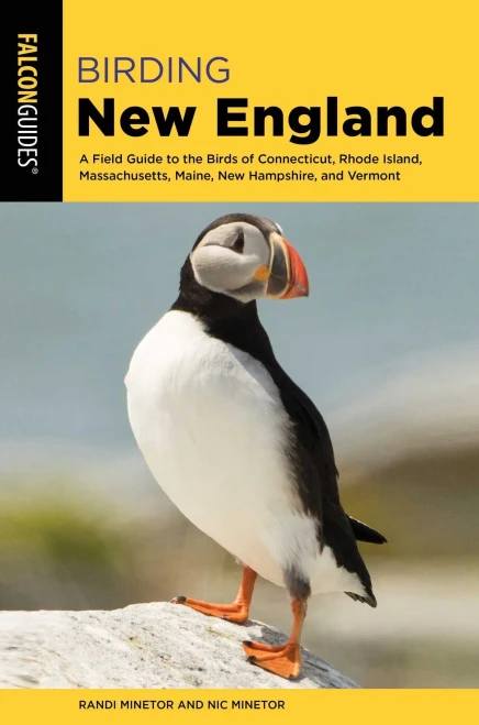 Birding New England: A Field Guide To The Birds Of Connecticut, Rhode Island, Massachusetts, Maine, New Hampshire, And Vermont (Birding Series)