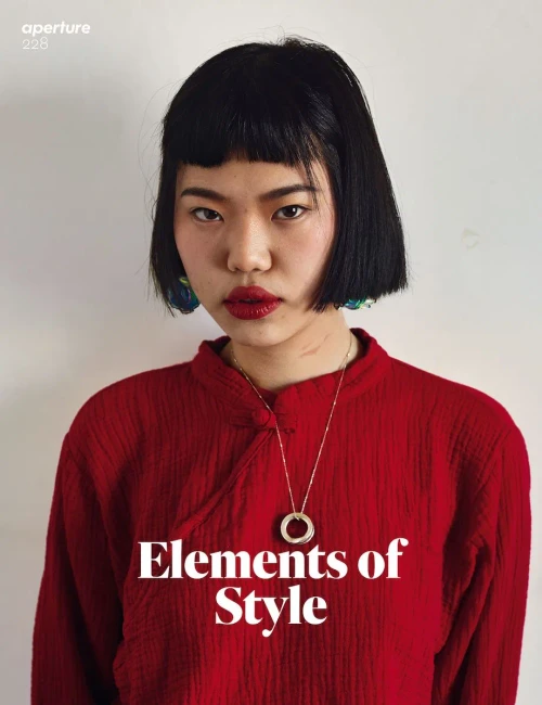 Elements Of Style: Aperture 228 (Aperture Magazine)