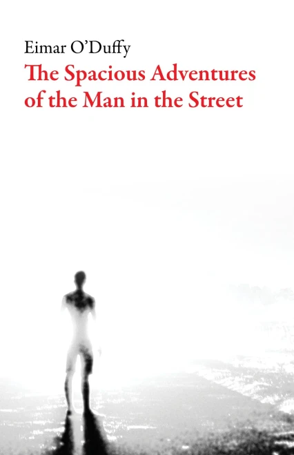 The Spacious Adventures Of The Man On The Street (Irish Literature)