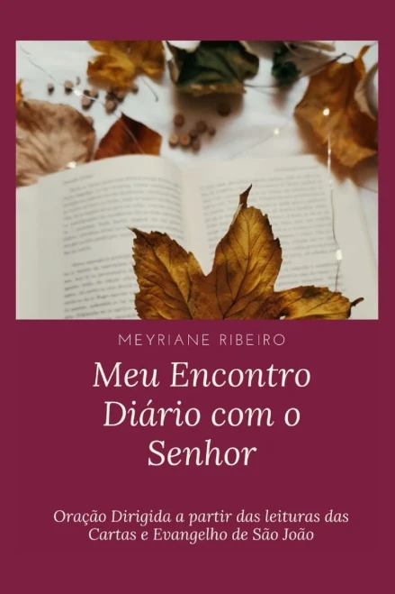 Meu Encontro Diário com o Senhor: Oração Dirigida a partir das leituras das Cartas e Evangelho de São João (Portuguese Edition)