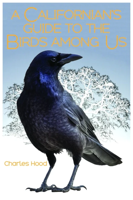 A Californian'S Guide To The Birds Among Us