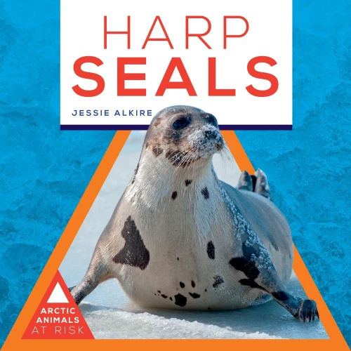 Harp Seals (Arctic Animals At Risk)