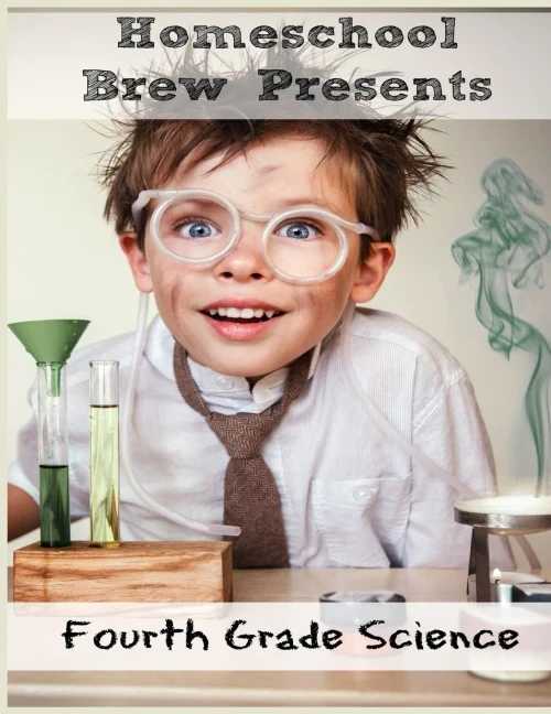 Fourth Grade Science: (For Home School Or Extra Practice)