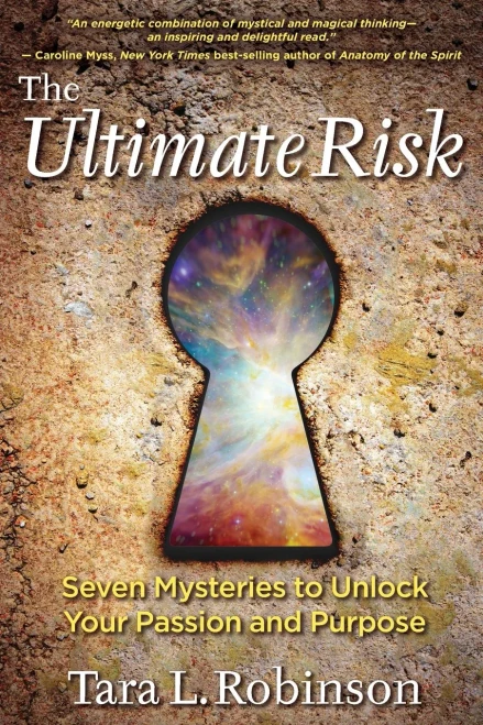 The Ultimate Risk: Seven Mysteries To Unlock Your Passion And Purpose