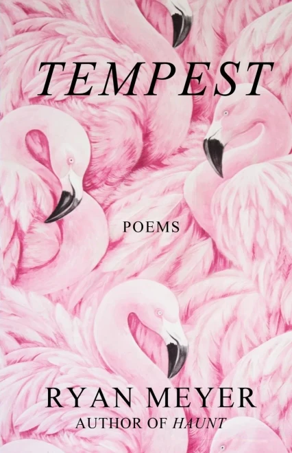 Tempest: Poems