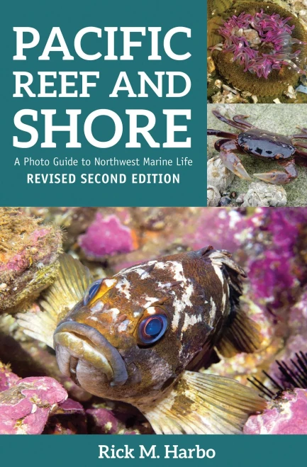 Pacific Reef And Shore