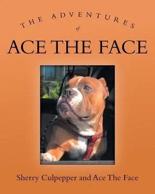 The Adventures Of Ace The Face